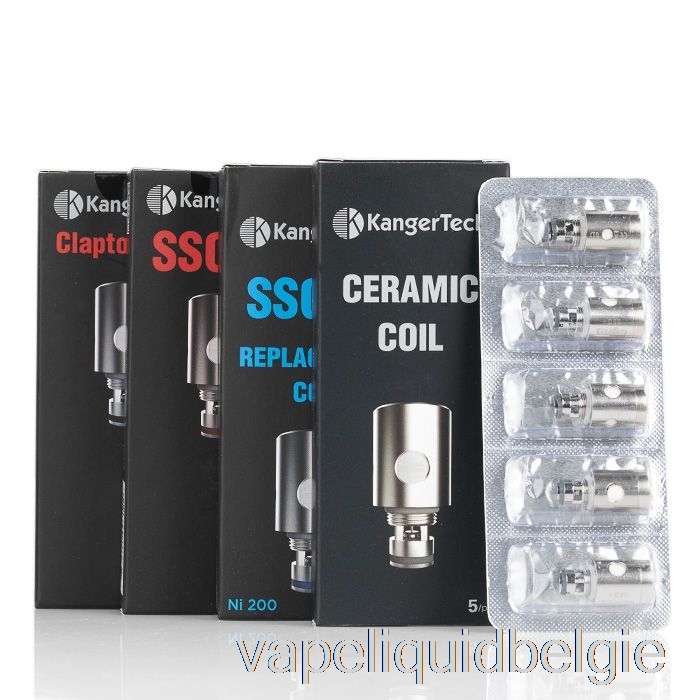 Vape Vloeistof Kanger Ssocc Vervangende Spoelen 0.2ohm Ss Spoelen